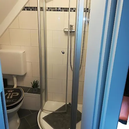 בית הארחה Zur Alten Filmkiste זינקסט